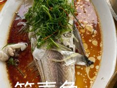 -水上鱼当家