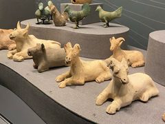 -广西壮族自治区博物馆