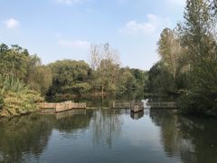 -溱湖国家湿地公园