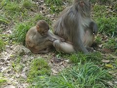 -苏州上方山国家森林公园