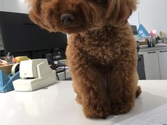 -南岭图文快印店·KT板·刻章备案(竹园路)
