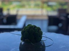 -康莱德酒店·望海阁大堂吧