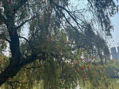 -人民公园(罗湖区)