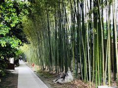 -上海市龙华烈士陵园