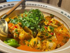 太平湖有机胖头鱼-魏铭鱼头捞饭(晋阳路店)