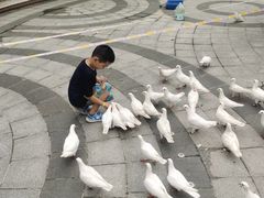 -南宫温泉水世界