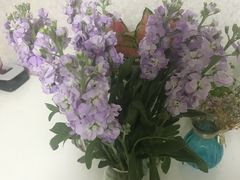 -大连富丽华大酒店·花都西餐厅