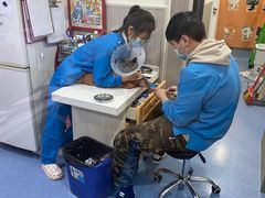 -佑安动物医院·全科·内窥镜中心(幸福巷店)