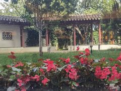 -亮马河饭店翠雅咖啡厅