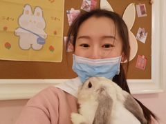 -猫猫幼稚园·撸猫·桌游·电玩