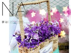 -三圣花乡旅游区