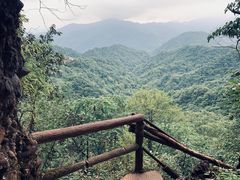 -青城山