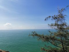 -广东惠东海龟国家级自然保护区