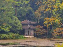 -杭州植物园