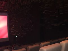 -武商摩尔影城(国广IMAX激光店)