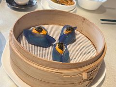 -皇朝会.经典传统粤菜(外滩店)