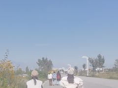 -哈素海