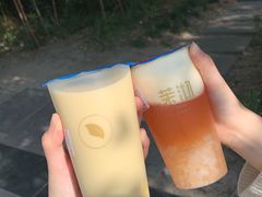 曲奇奶青-茉沏(光启城店)