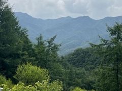 -洛阳白云山景区