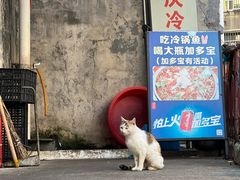 -重庆特色冷锅鱼(武大店)