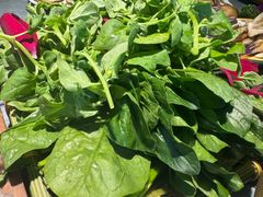 -慢丽江·云南野生菌土鸡锅(付家庄店)