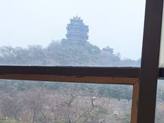 -七欣天香辣蟹火锅(南京建宁路大观天地店)