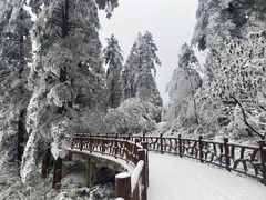 -瓦屋山景区