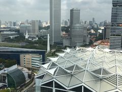 -新加坡泛太平洋酒店