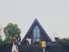 -美丽洲堂