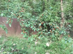 -西湖风景区-江洋畈生态公园