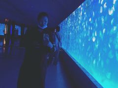 -多彩贵州城极地海洋世界