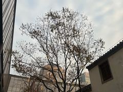 -CHARLIETOWN红茶公司(南京万象天地店)