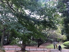 -东京国立博物馆