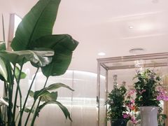 -香港百合居(LCM置汇旭辉广场店)