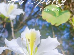 -广东花都湖国家湿地公园