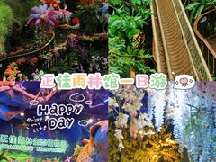 -正佳雨林生态植物园