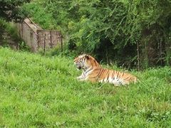 -沈阳森林动物园