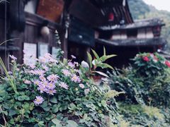 -林坑古村落