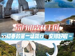 -南丹山森林王国