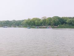 -昆山城市生态森林公园