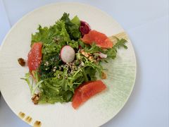 西柚蔬菜沙拉-雅典娜希腊餐厅(三里屯西五街店)