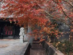 -黄兴公园