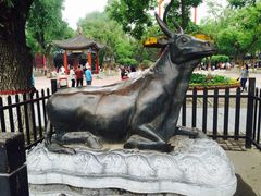 -文瀛公园