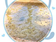 -金石唐风国际温泉会馆