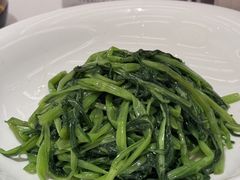 -谭厨中山传家菜.乳鸽.脆鲩鱼(华强北中航城店)