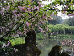 -成都杜甫草堂博物馆