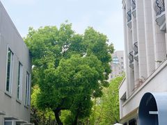 -Seesaw Coffee(上生新所店)