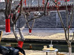 -春风习习