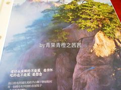 -老村长农家院