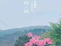 -天适樱花悠乐园